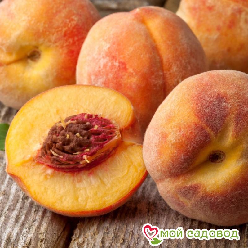 Персик Крест Хейвен